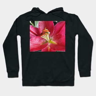 Red Flower macro. Hoodie